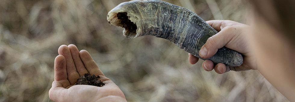 Biologisch-dynamischer Anbau