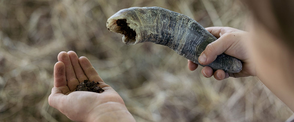 Biologisch-dynamischer Anbau